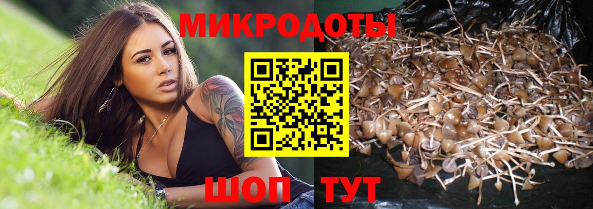 как найти закладки  Галлюциногенные грибы мухоморы  Псилоцибиновые грибы Magic Shrooms  Вход с VPN  Берёзовский 